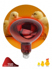 Лампа светодиодная фито для растений E27 инфракрасная для птицеводства ИКЗК 230-150 R127 (15/180) | Б0042981 | ЭРА title=