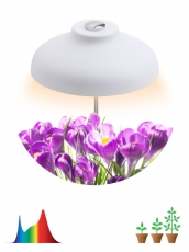 Светильник светодиодный настольный фито для растений/для грунта белый спектр FITO-12W-FLED | Б0039068 | ЭРА title=