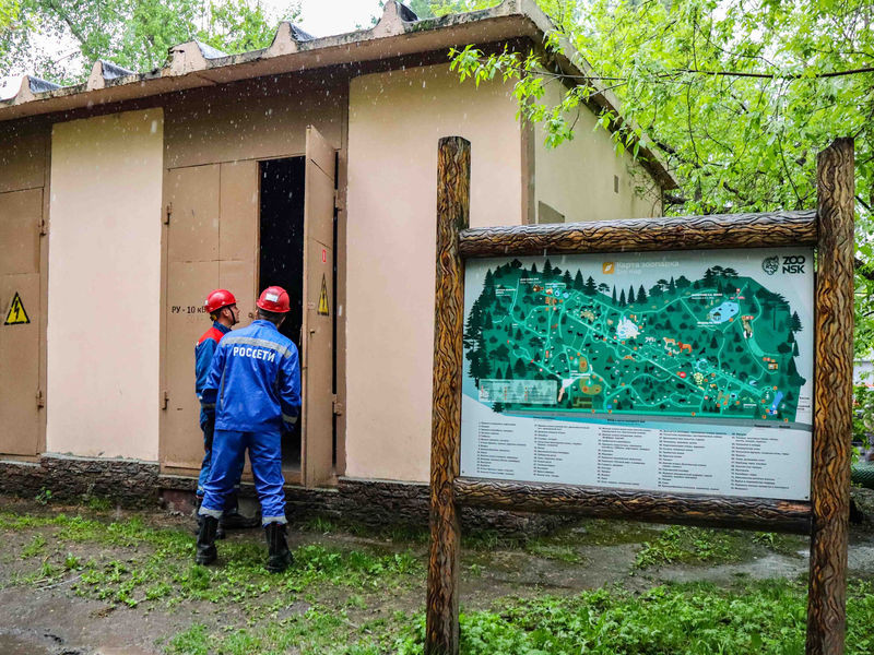 "Россети Новосибирск" модернизировали электросети для Новосибирского зоопарка