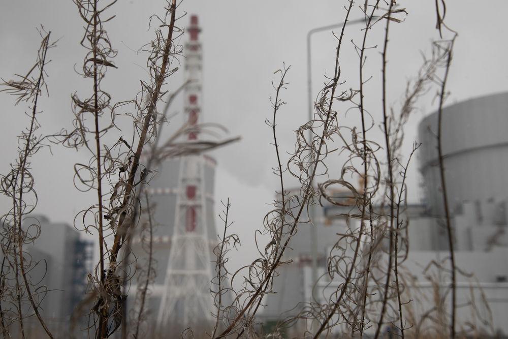 Ленинградская АЭС в ноябре увеличила выработку на 8,4%
