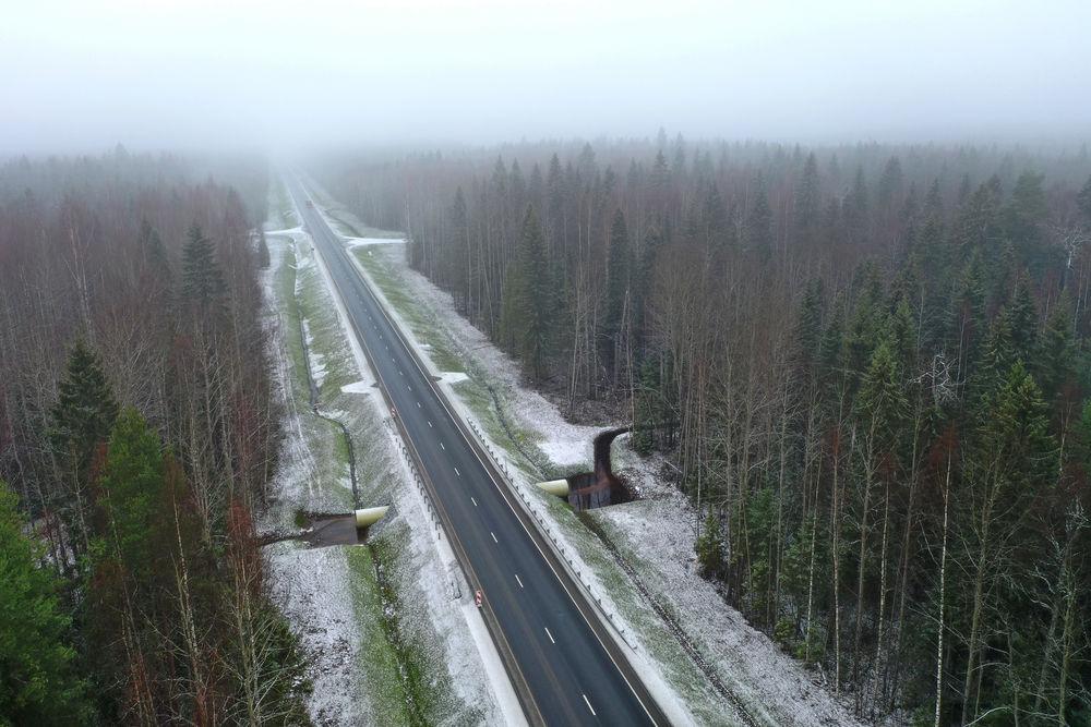 В 2022 году обновили более 90 км федеральных трасс Архангельской области