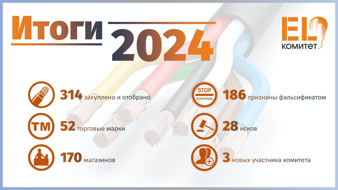 EL-Комитет подводит итоги своей работы за 2024 год