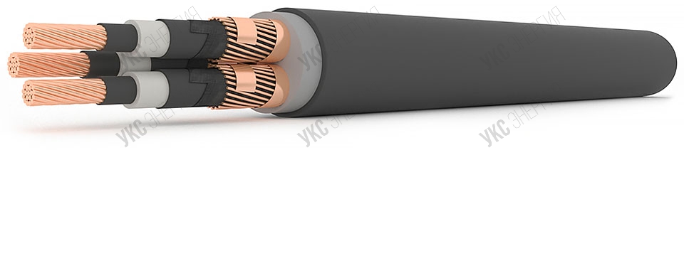ПвВнг(А) 3х50/16 - 6кВ